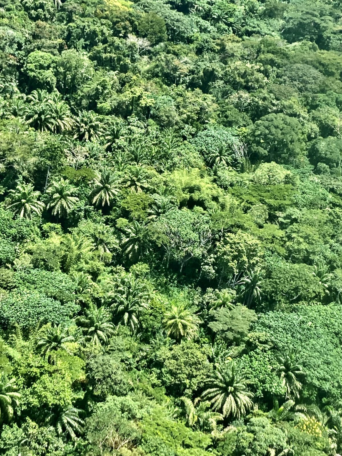 Frontline documentation